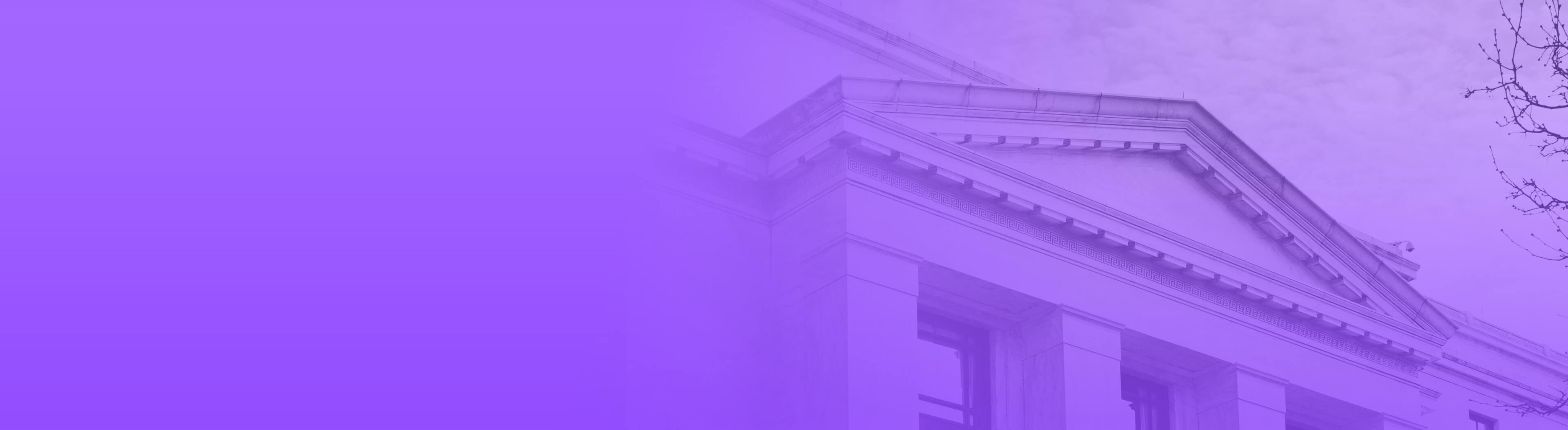 Governance banner